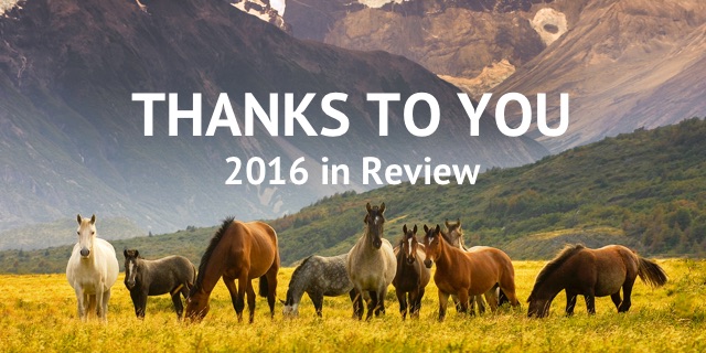 Thanks To You - 2016 Year in Review