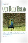 cover_200804