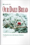 Our Daily Bread Cover December 2013